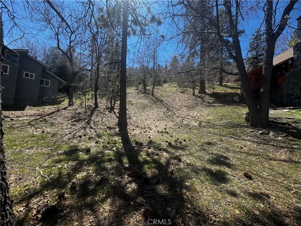 Oriole Road Wrightwood, CA 92397