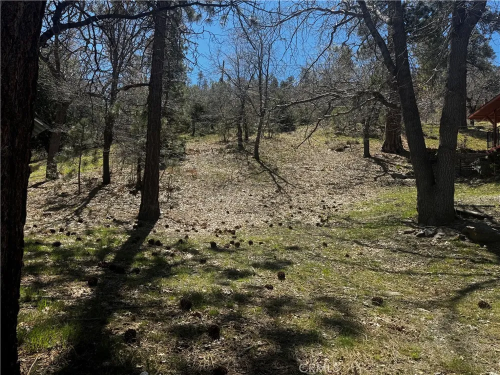 Oriole Road Wrightwood, CA 92397
