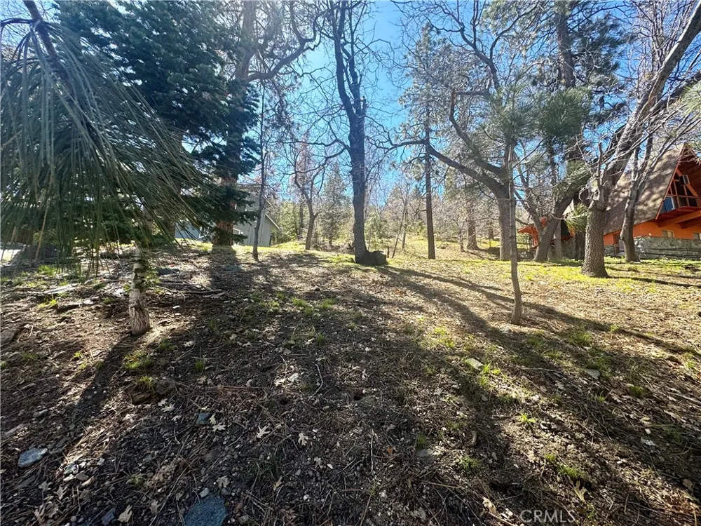 Oriole Road Wrightwood, CA 92397