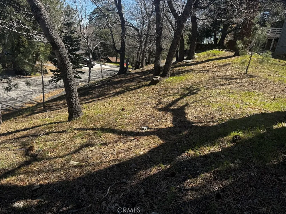 Oriole Road Wrightwood, CA 92397