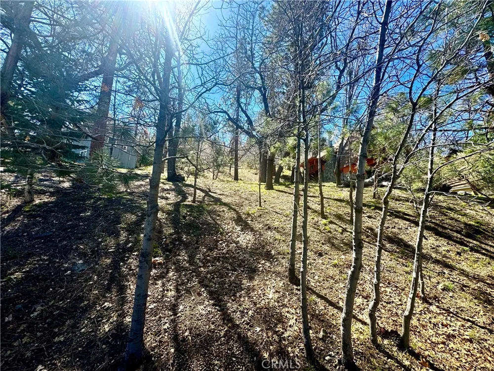 Oriole Road Wrightwood, CA 92397