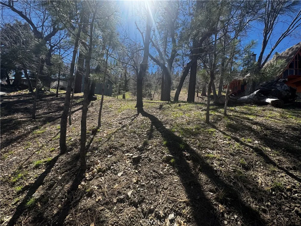 Oriole Road Wrightwood, CA 92397
