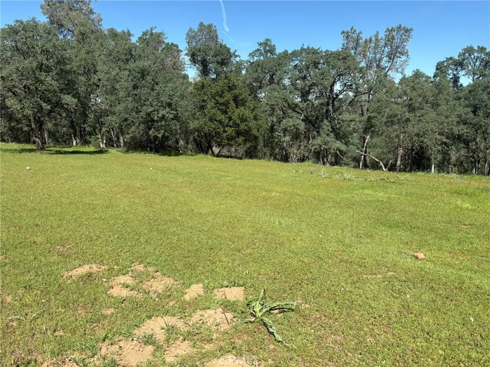 3465 Foothill Boulevard Oroville, CA 95966