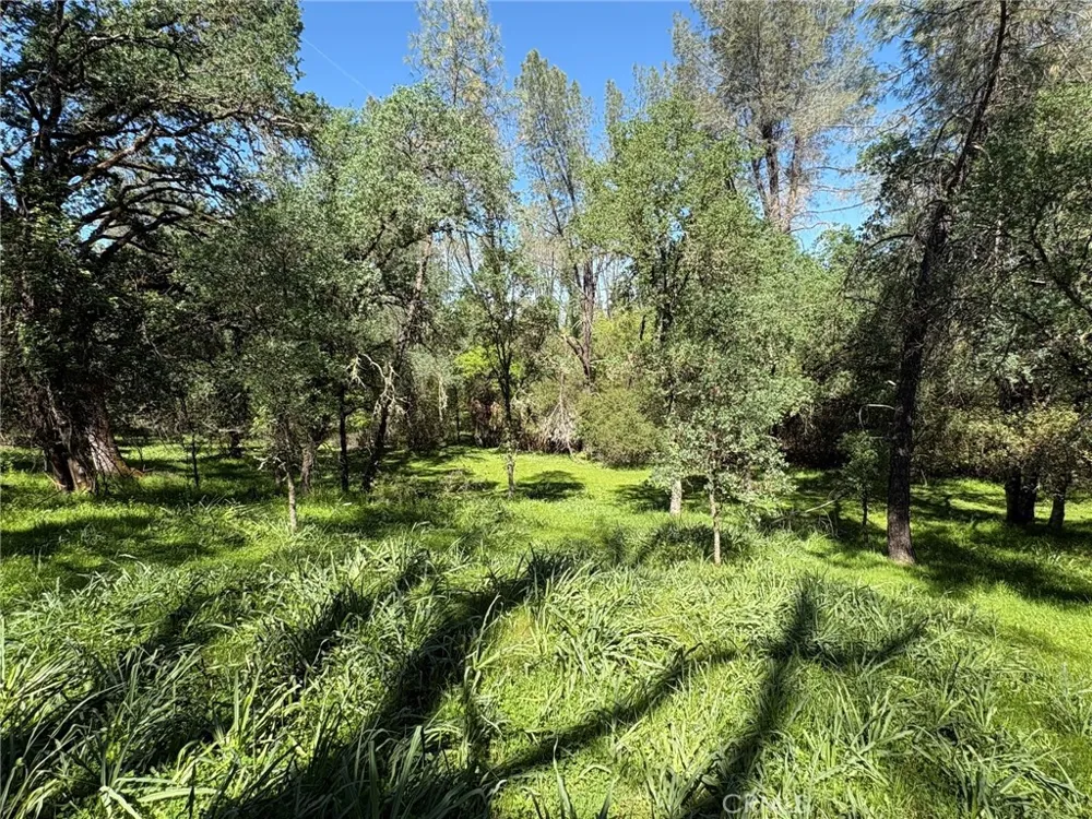 3465 Foothill Boulevard Oroville, CA 95966