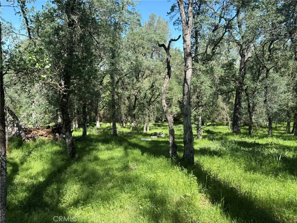 3465 Foothill Boulevard Oroville, CA 95966