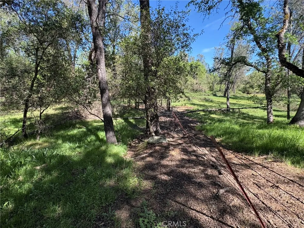 3465 Foothill Boulevard Oroville, CA 95966
