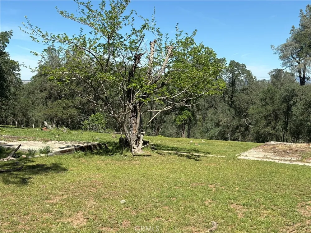 3465 Foothill Boulevard Oroville, CA 95966