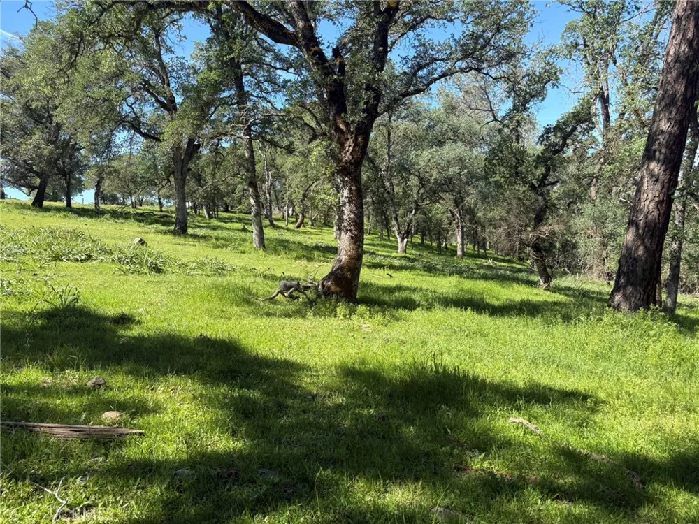 3465 Foothill Boulevard Oroville, CA 95966