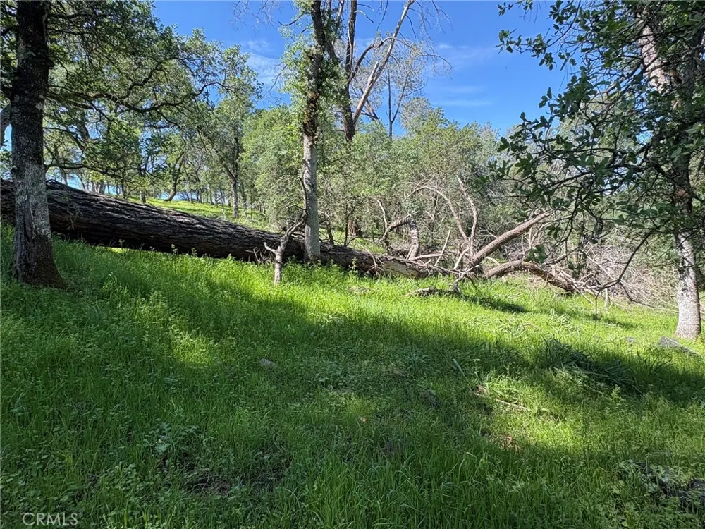 3465 Foothill Boulevard Oroville, CA 95966