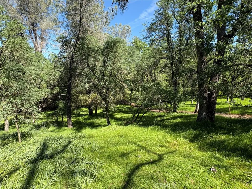 3465 Foothill Boulevard Oroville, CA 95966
