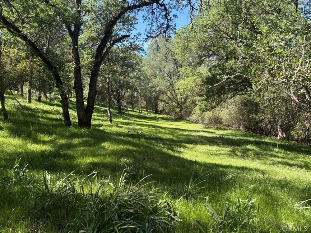 3465 Foothill Boulevard Oroville, CA 95966
