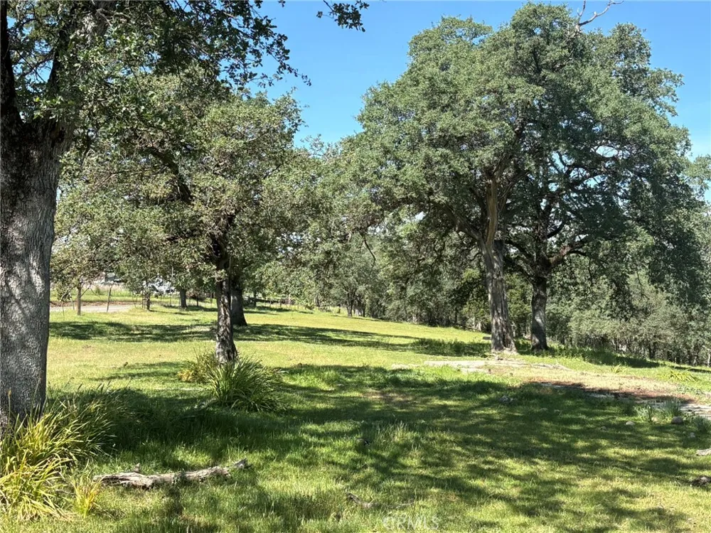 3465 Foothill Boulevard Oroville, CA 95966