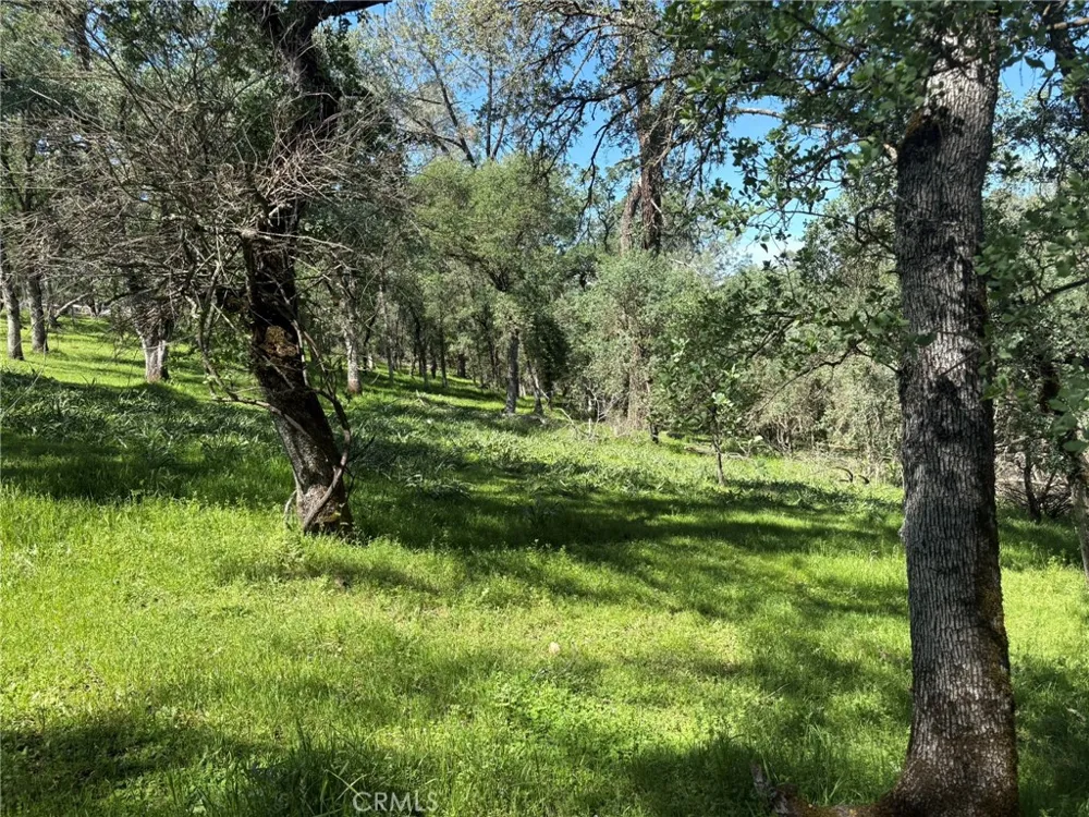 3465 Foothill Boulevard Oroville, CA 95966