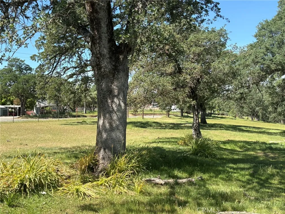 3465 Foothill Boulevard Oroville, CA 95966