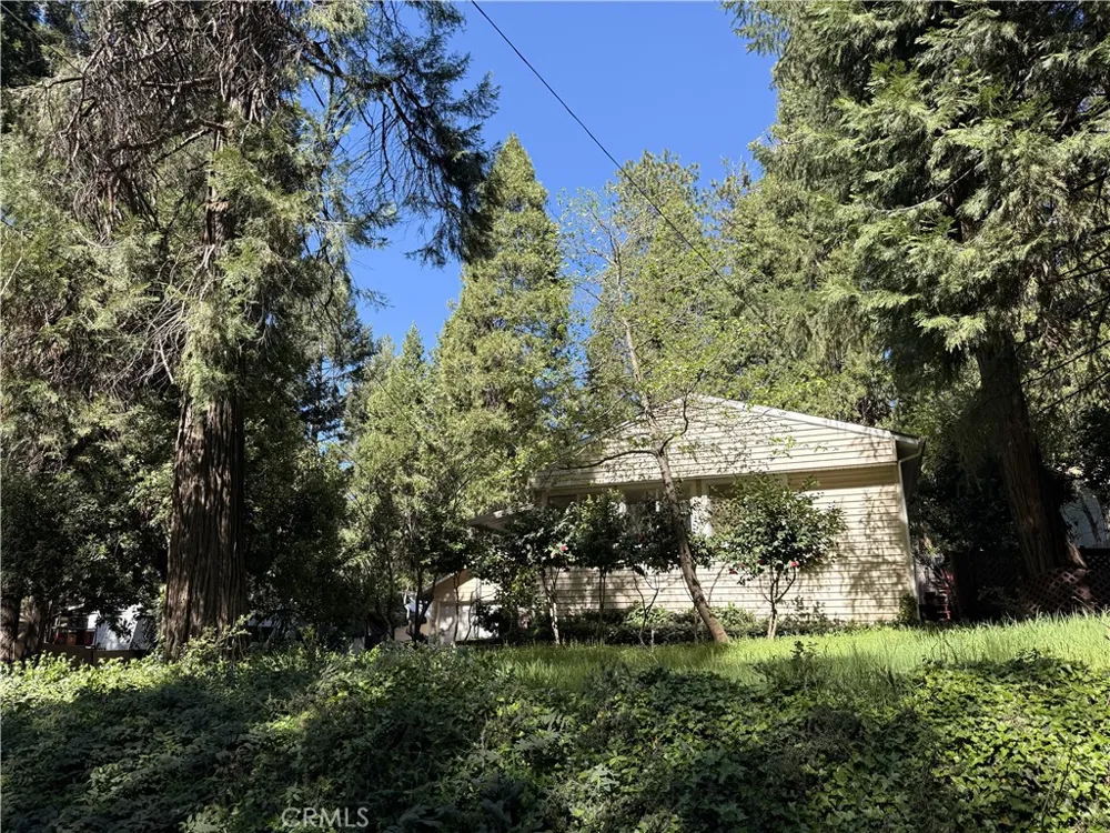 14378 Bethany Magalia, CA 95954