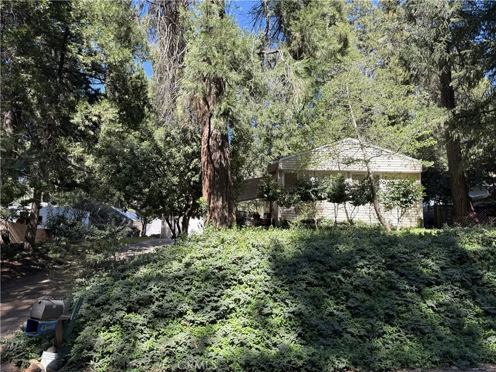 14378 Bethany Magalia, CA 95954