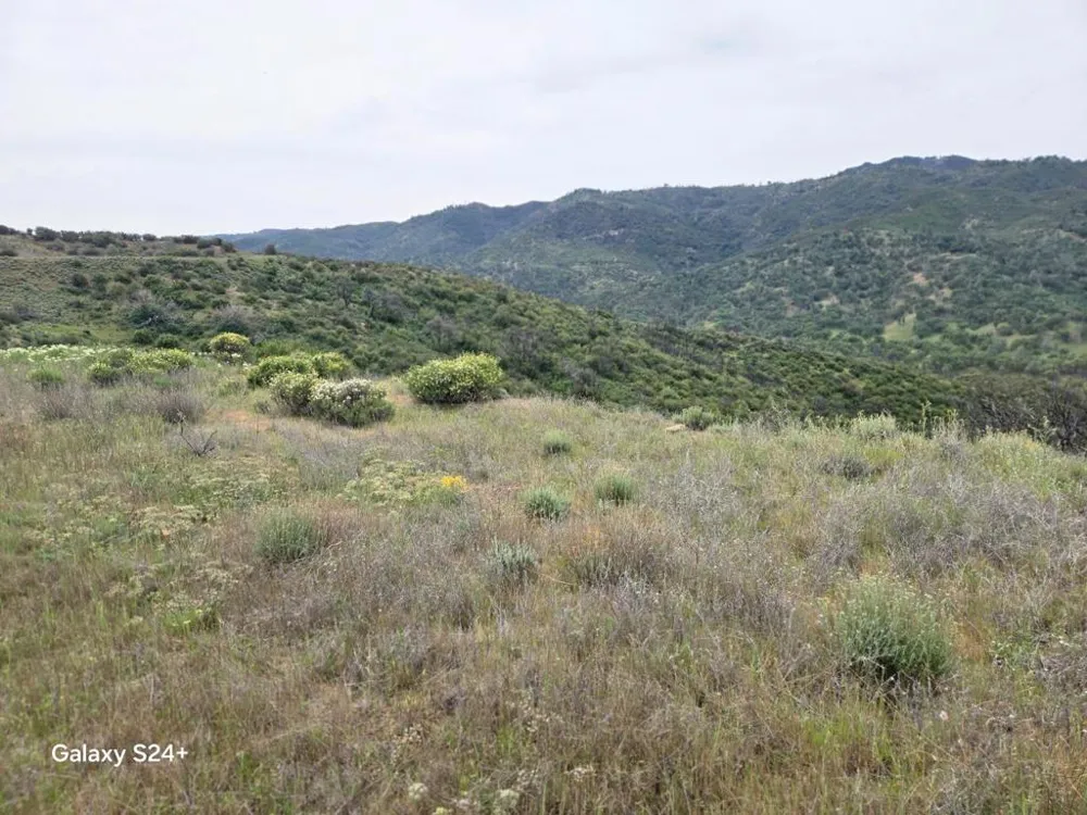 San Antonio Valley Road San Jose, CA 95140