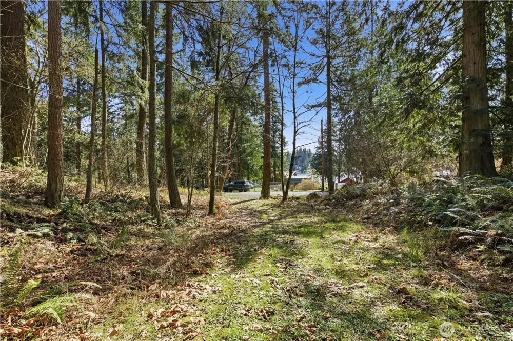 0 Clear Lake Road Eatonville, WA 98328