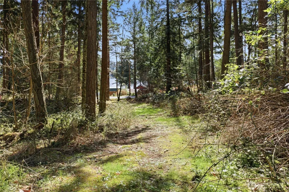 0 Clear Lake Road Eatonville, WA 98328