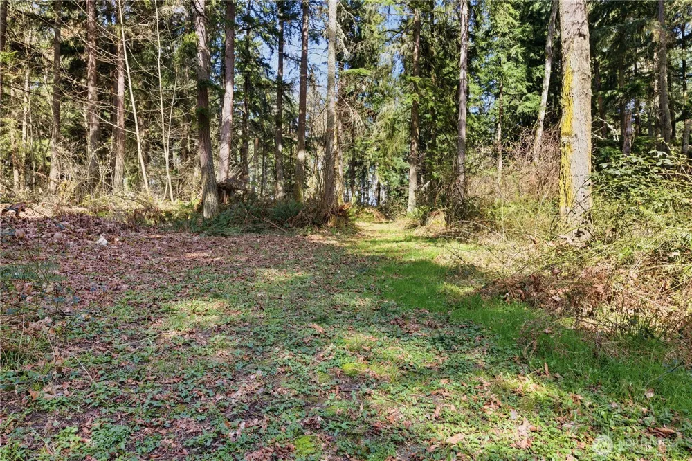 0 Clear Lake Road Eatonville, WA 98328