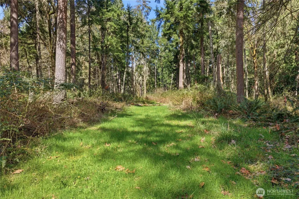0 Clear Lake Road Eatonville, WA 98328