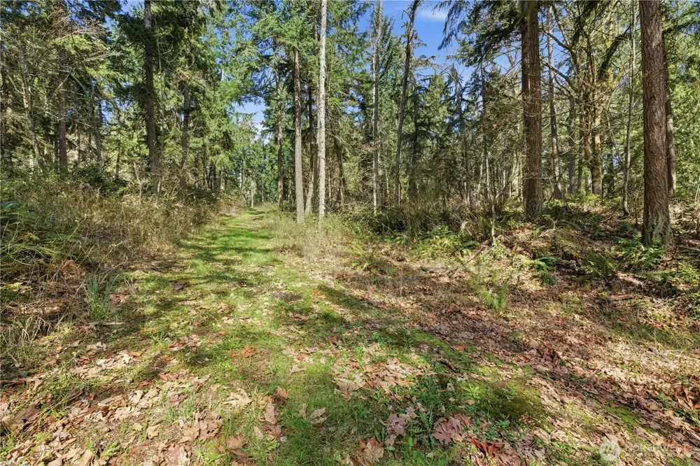 0 Clear Lake Road Eatonville, WA 98328