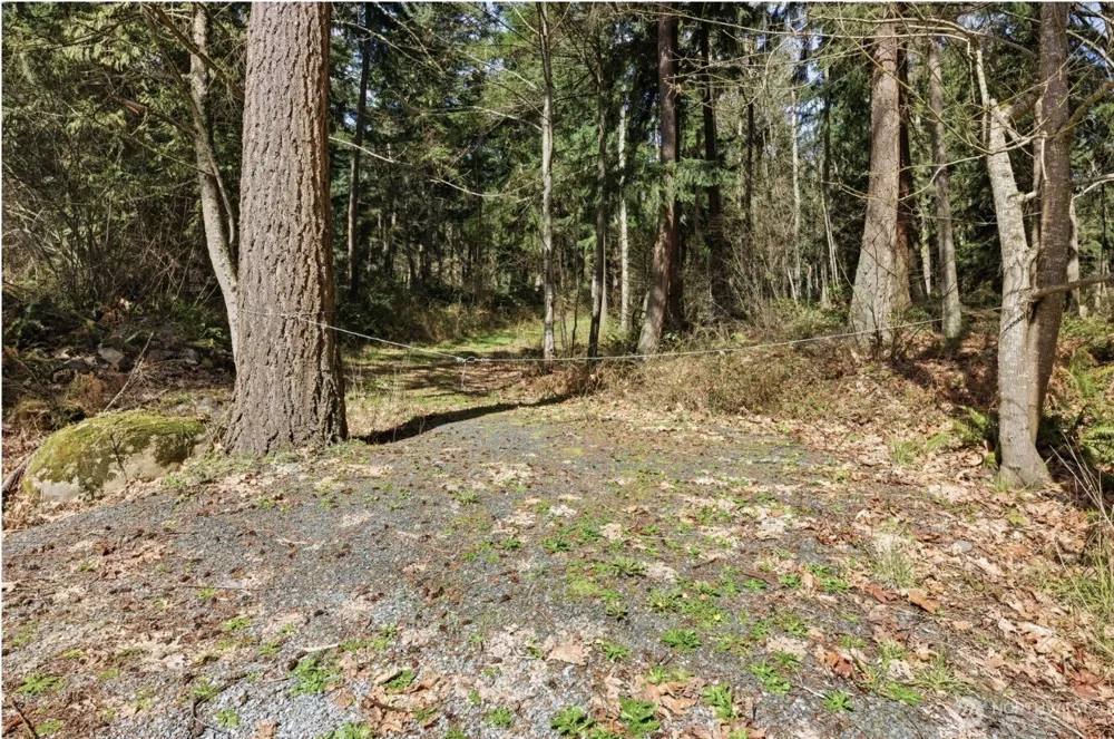 0 Clear Lake Road Eatonville, WA 98328