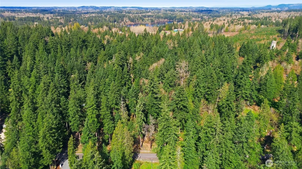 0 Clear Lake Road Eatonville, WA 98328