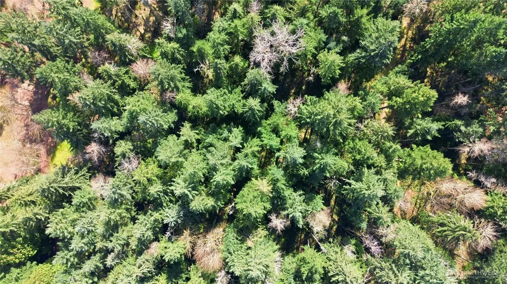 0 Clear Lake Road Eatonville, WA 98328