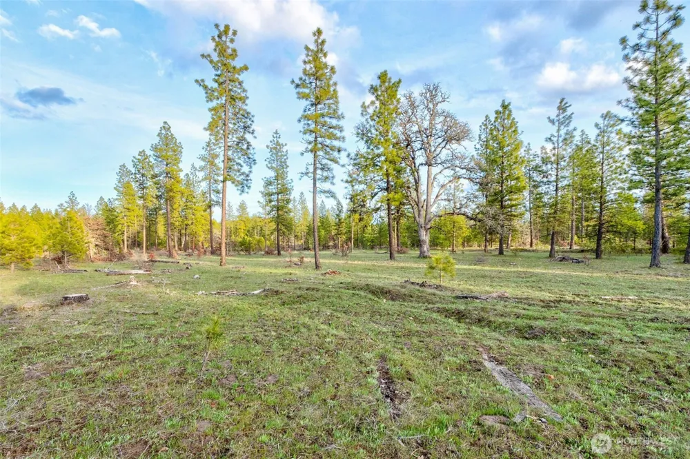 0 Lot 7 Greyback Mountain Road Goldendale, WA 98620