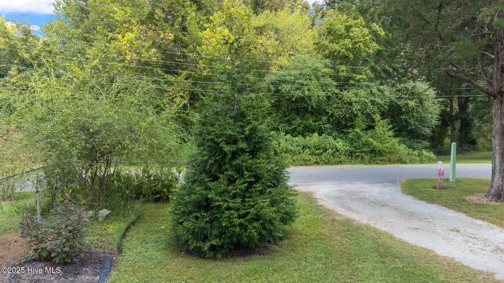104 Trent Street Trenton, NC 28585