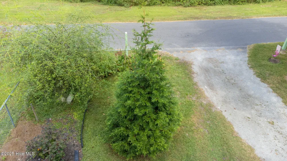 104 Trent Street Trenton, NC 28585