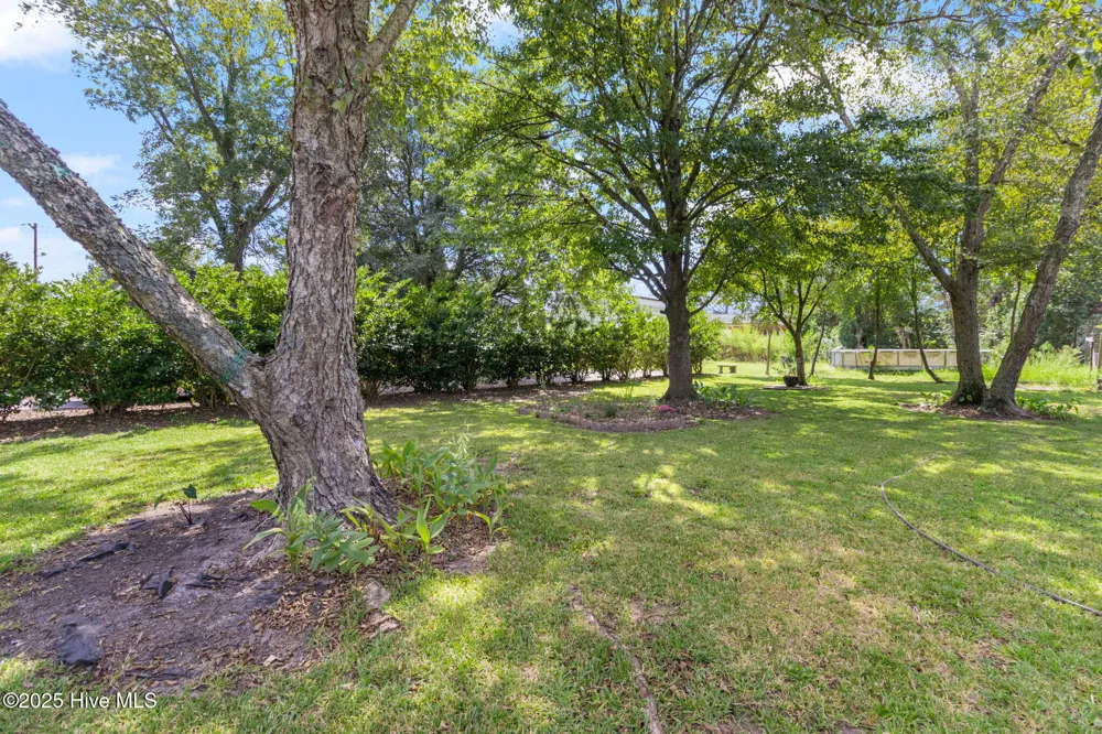 104 Trent Street Trenton, NC 28585