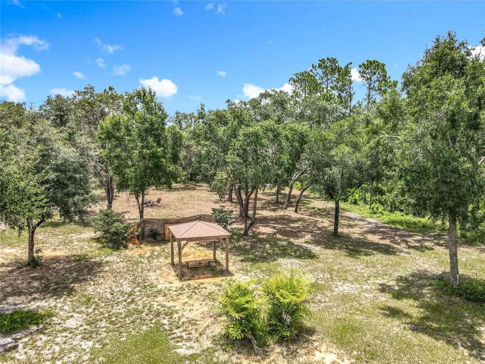 10220 BAY LAKE ROAD Groveland, FL 34736