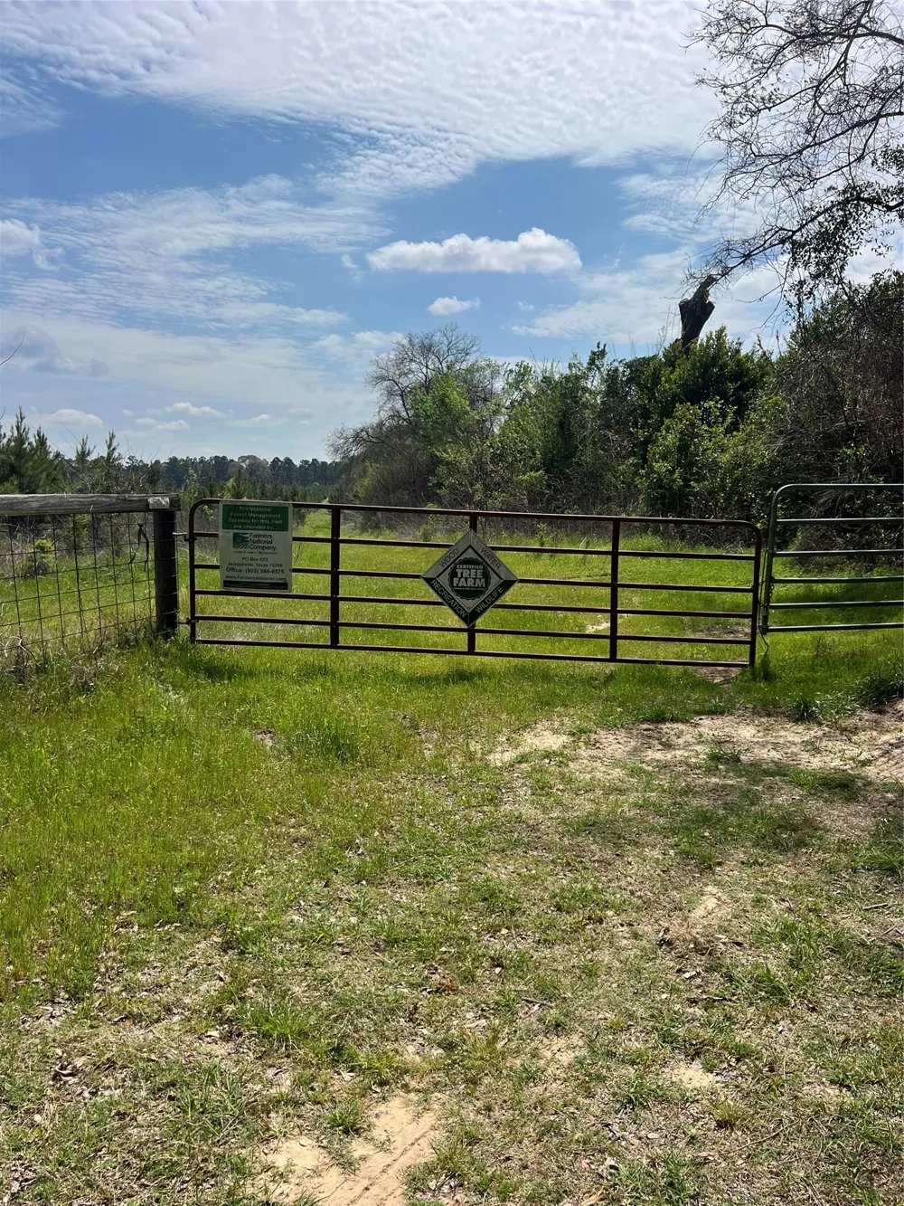 CR 3908 Jacksonville, TX 75766