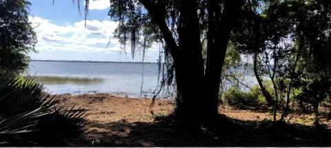 LAKE REEDY BOULEVARD