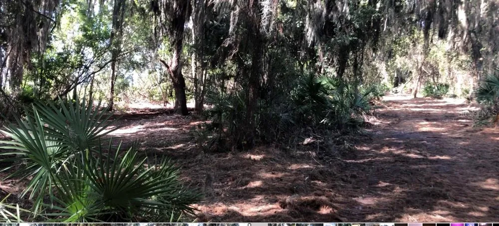 LAKE REEDY BOULEVARD Frostproof, FL 33843