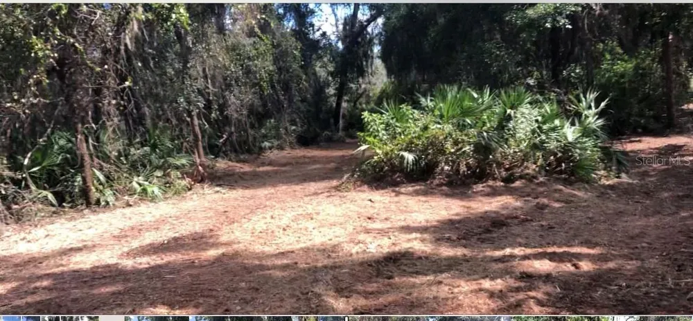 LAKE REEDY BOULEVARD Frostproof, FL 33843
