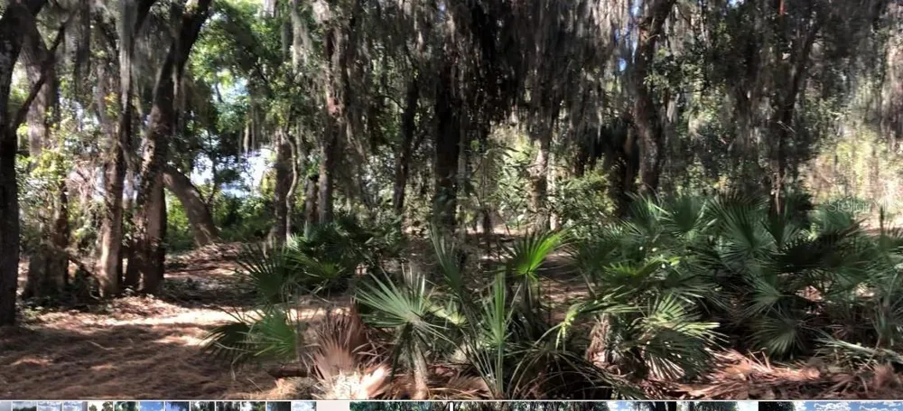 LAKE REEDY BOULEVARD Frostproof, FL 33843