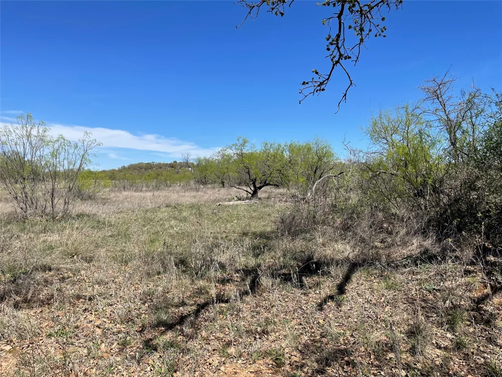 County Road Eastland, TX 76448