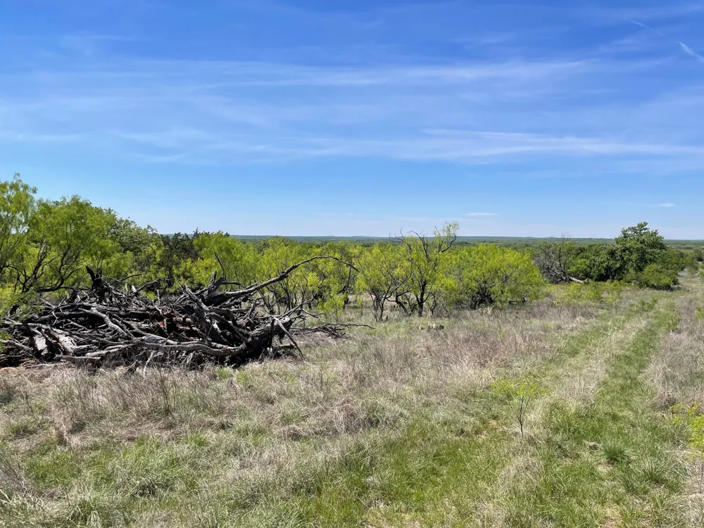County Road Eastland, TX 76448