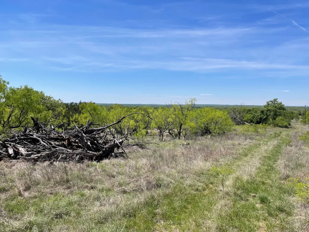 County Road Eastland, TX 76448