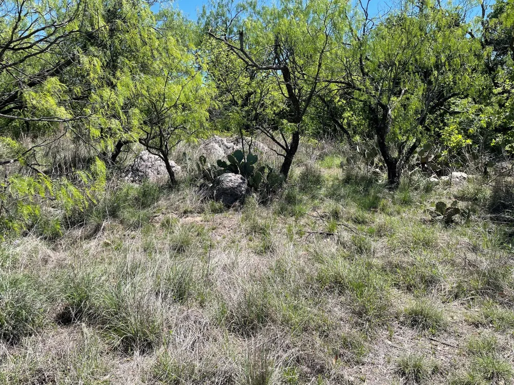 County Road Eastland, TX 76448