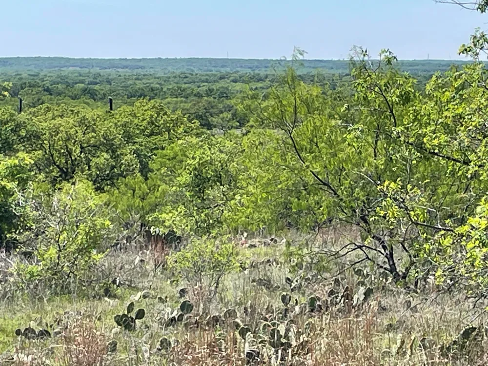 County Road Eastland, TX 76448