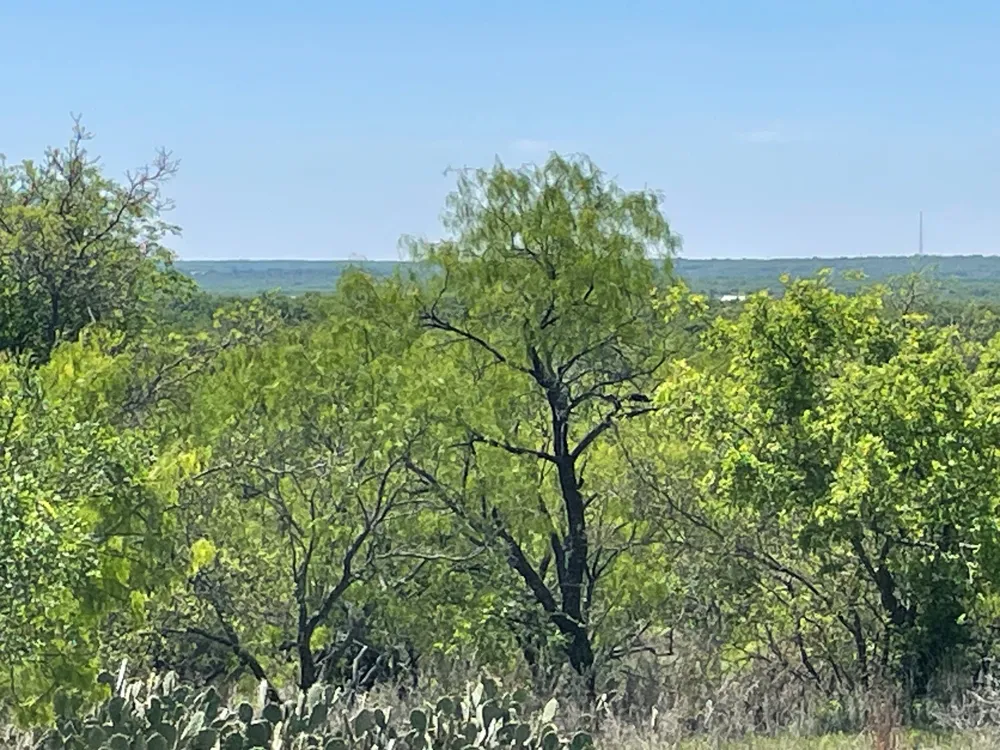 County Road Eastland, TX 76448