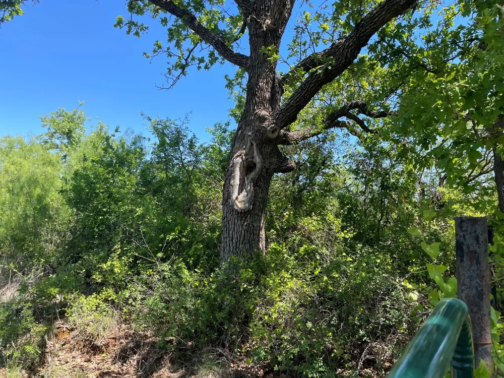 County Road Eastland, TX 76448