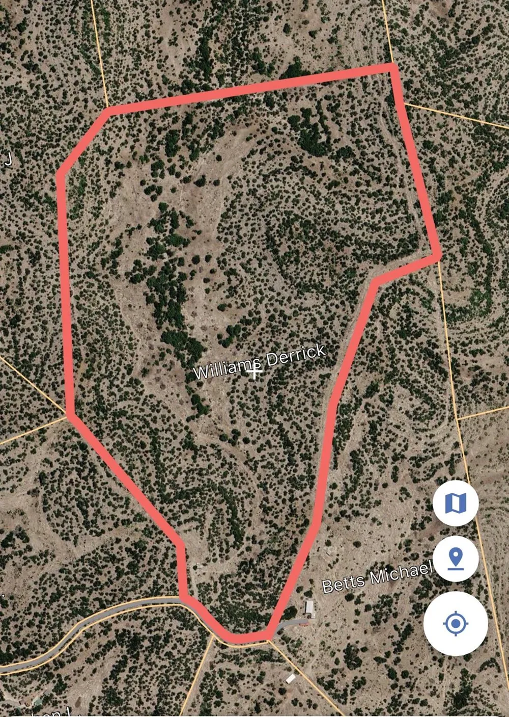 Pinon Pine Rocksprings, TX 78880