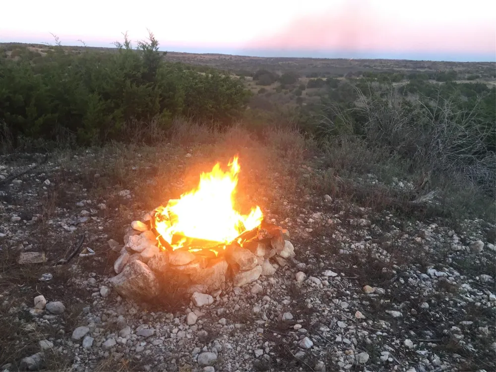 Pinon Pine Rocksprings, TX 78880