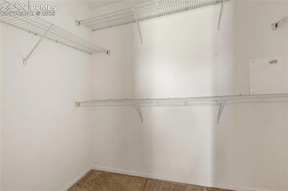 7309 Sandy Springs Point Fountain, CO 80817