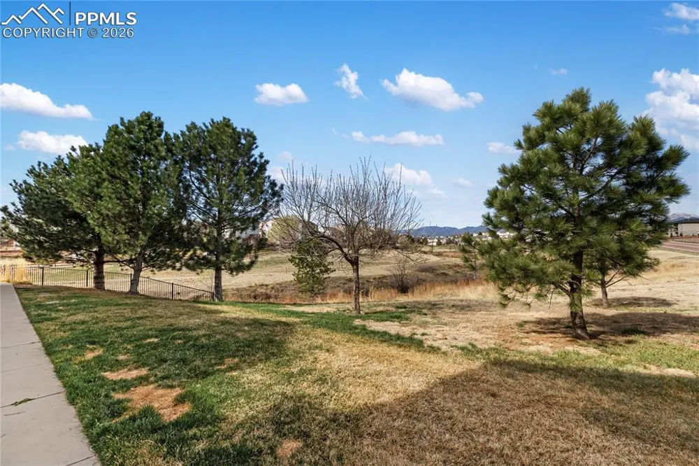 7309 Sandy Springs Point Fountain, CO 80817